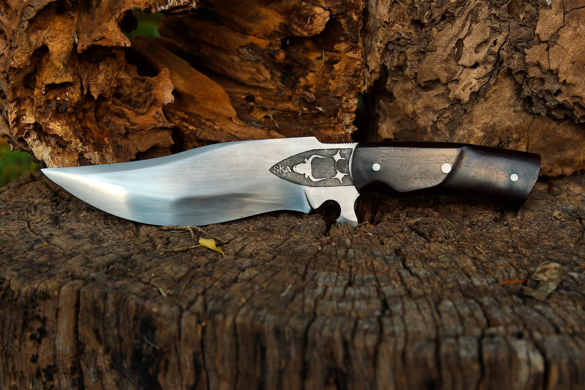 Gaucho - Image 3