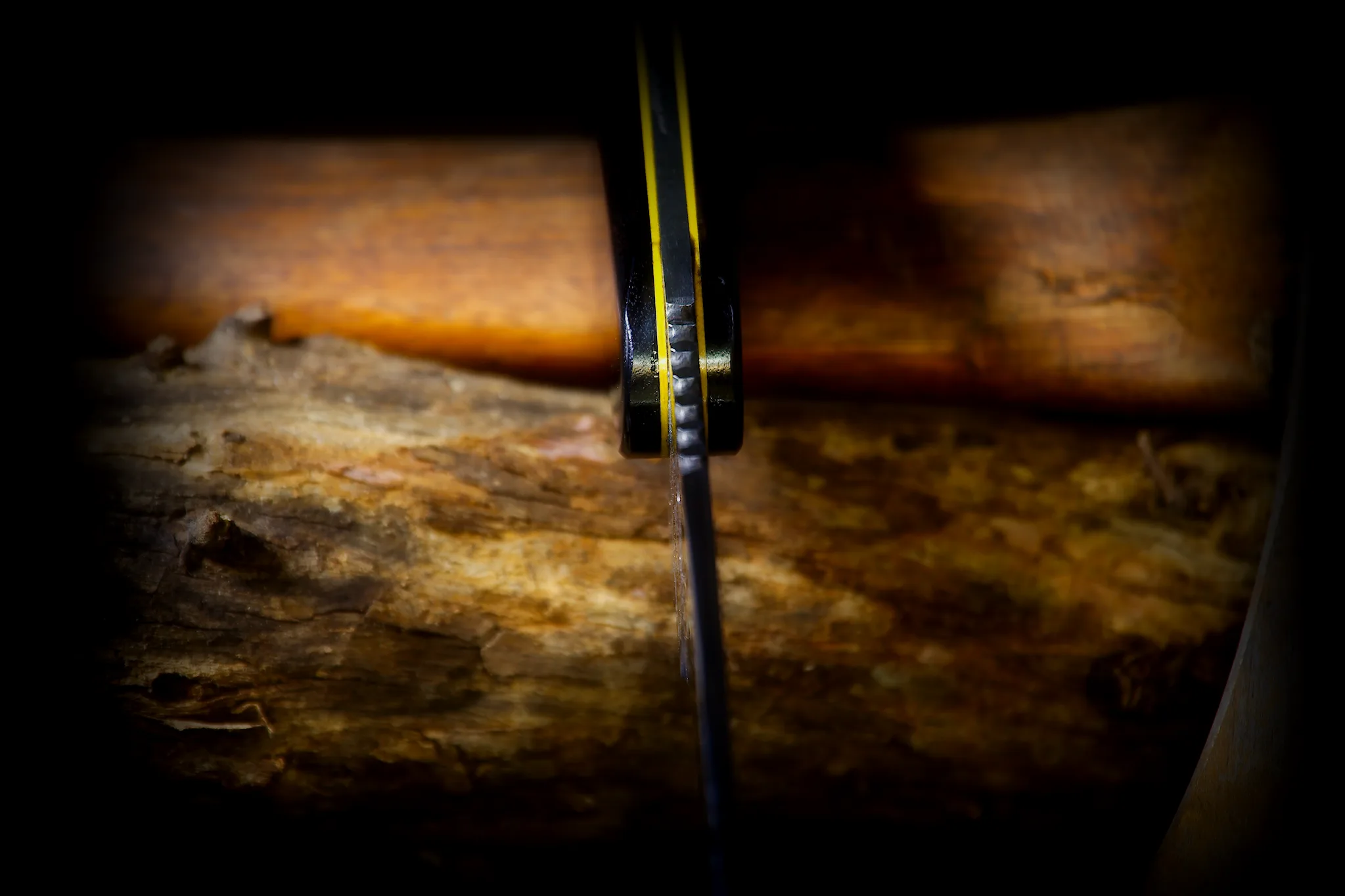 The Woodsman - Image 4