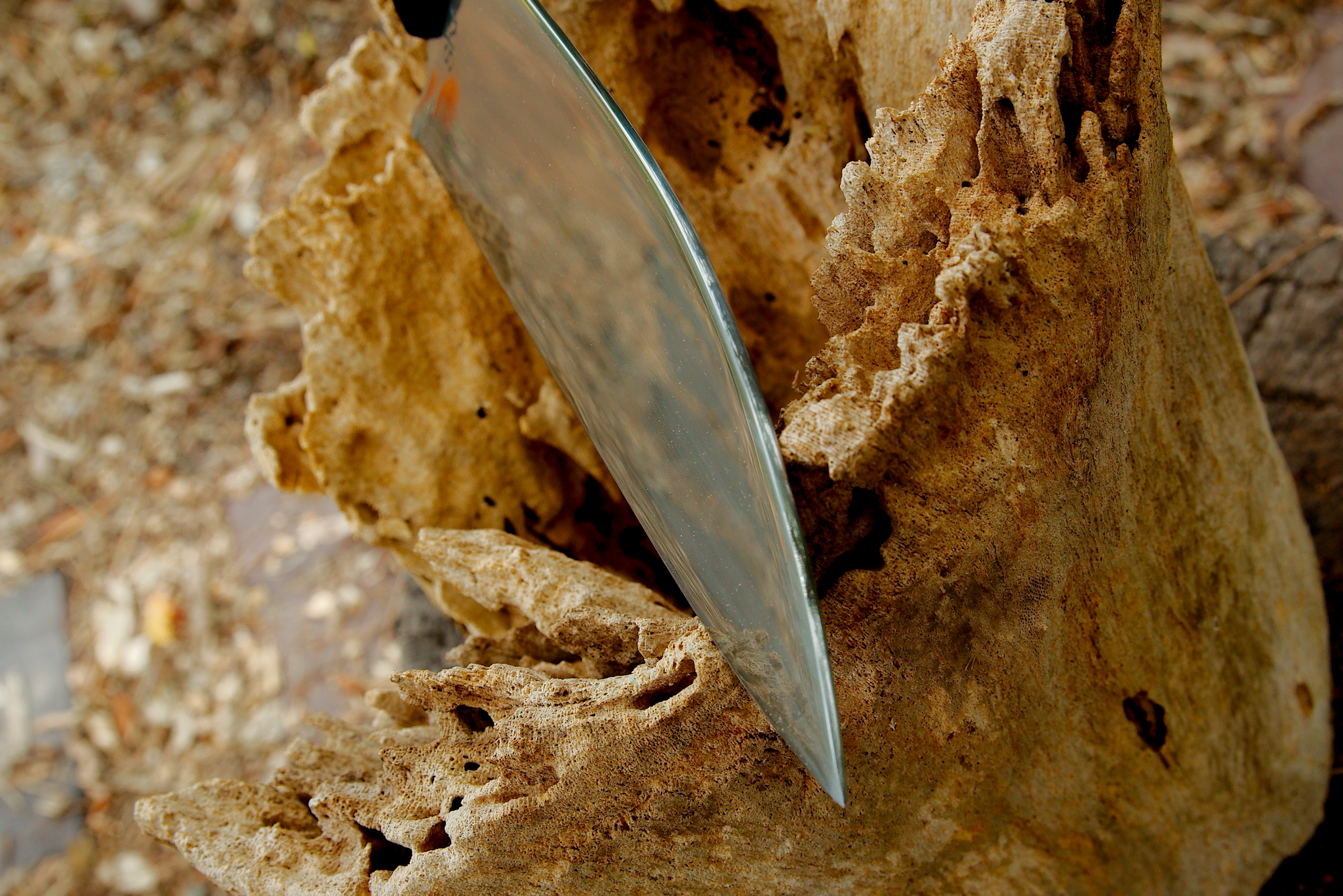 9 Inch Chef - Image 5