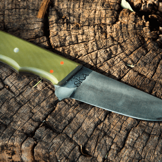 A Passionate Debate With The Government