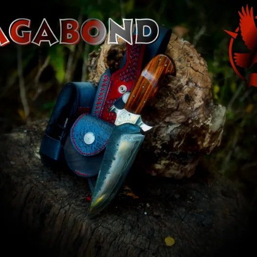 Vagabond