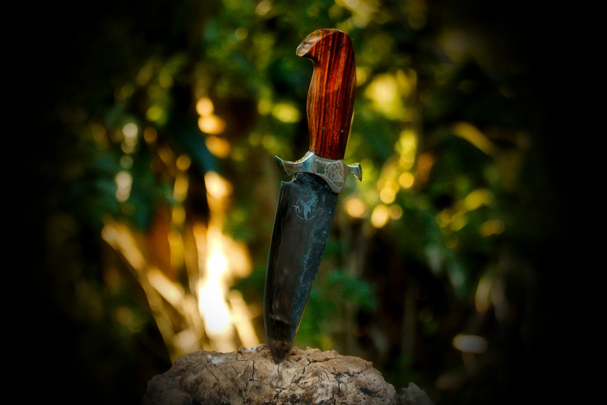 Vagabond - Image 2