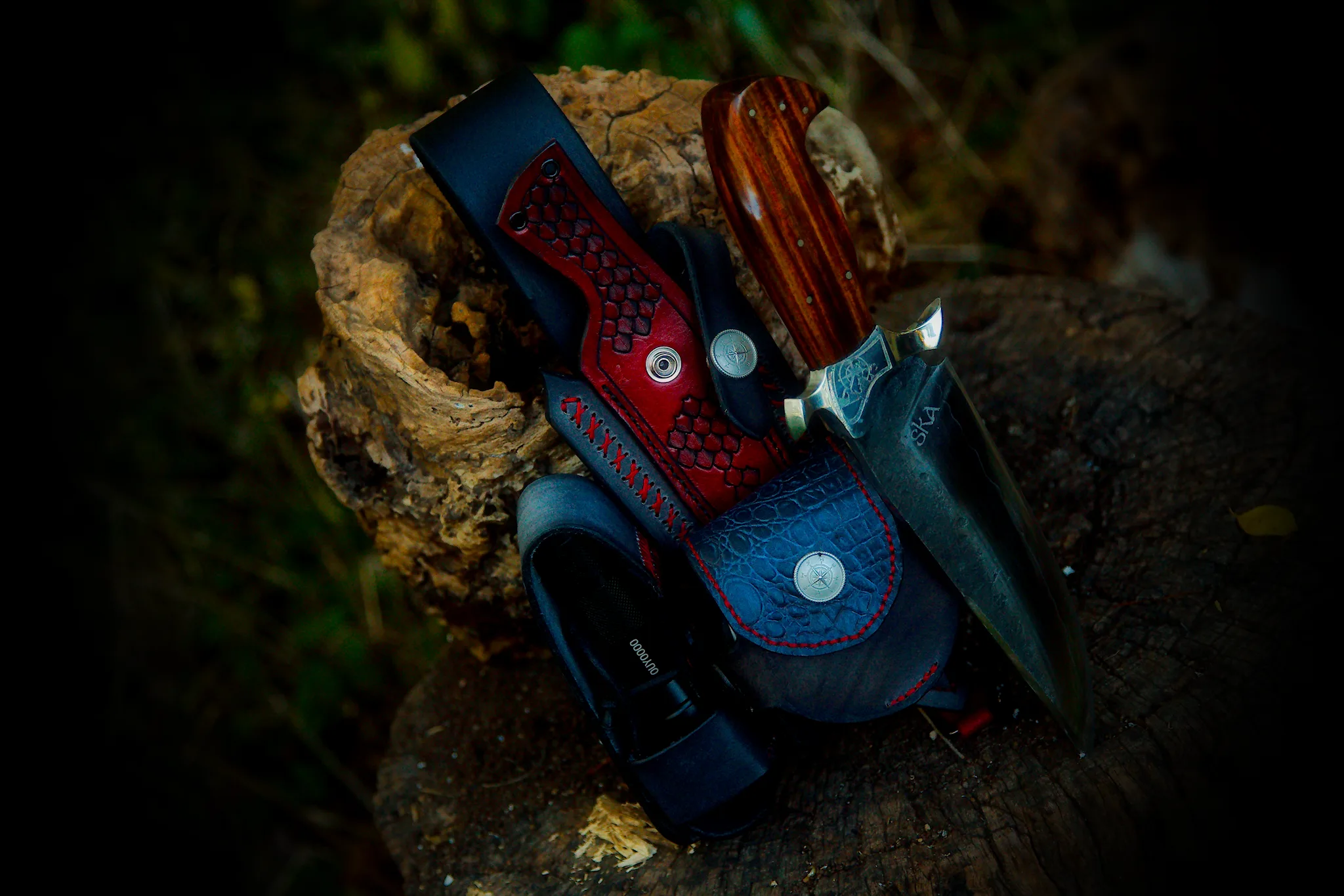 Vagabond - Image 10