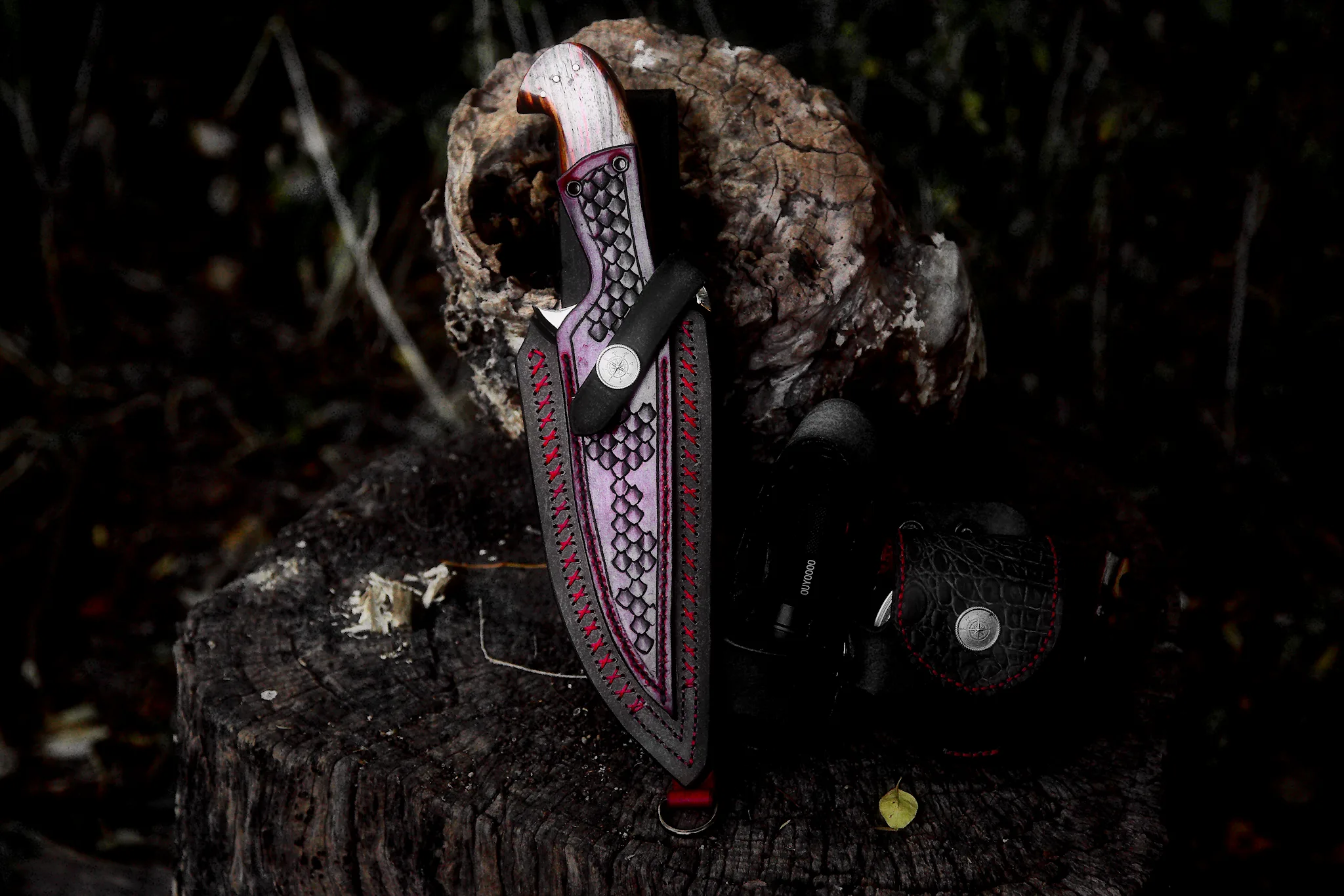 Vagabond - Image 11