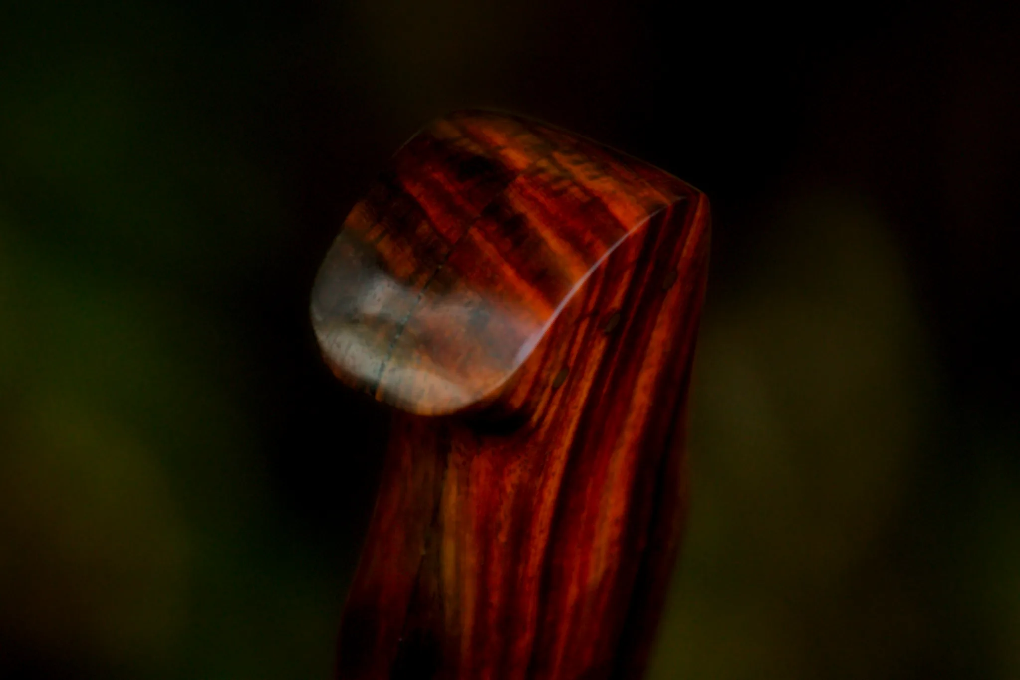 Vagabond - Image 4