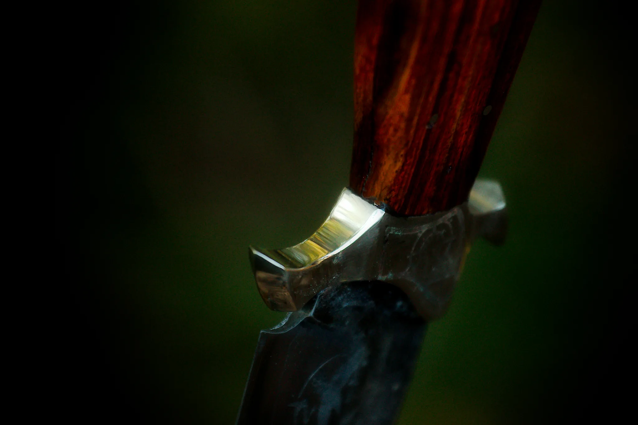 Vagabond - Image 6