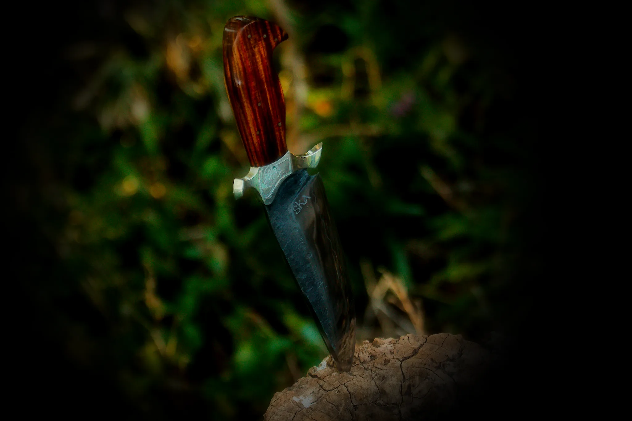 Vagabond - Image 7