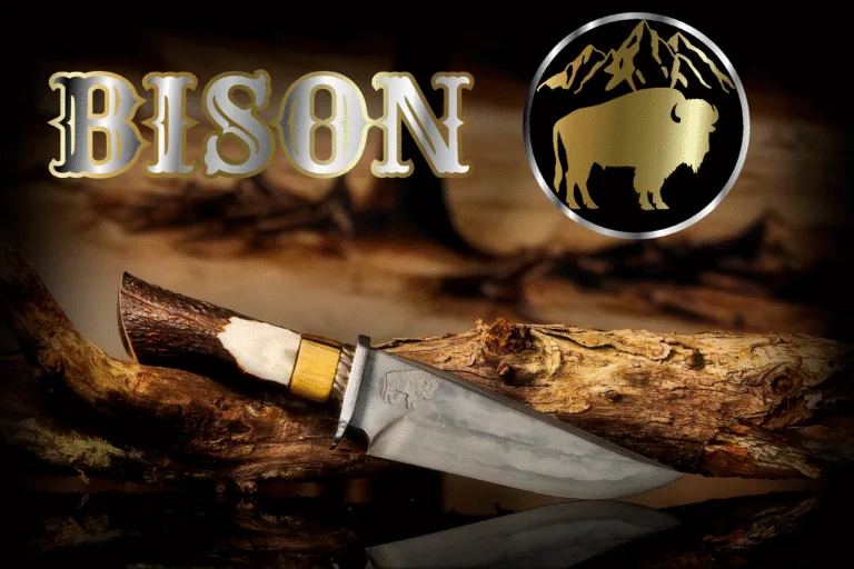 Bison