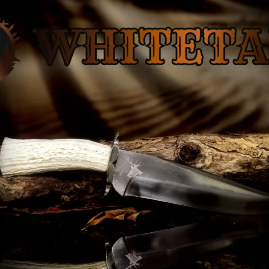 White-Tail