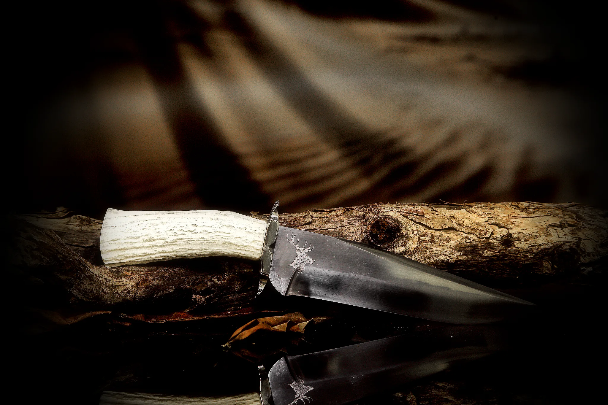White-Tail